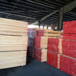 Hard Maple - 20150903_161957-150x150