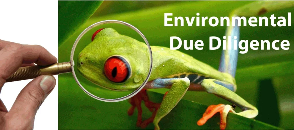 Green through Responsible Forestry - environmental-due-diligence-1024x455