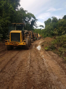 Ipe from the Jungle - ipe-jungle-7-225x300