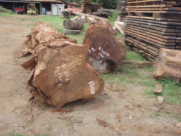 Sorting the Ipe Logs - ipe-loga