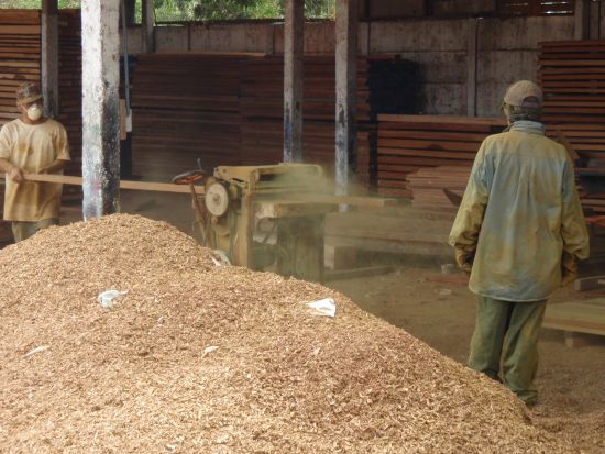 Milling Ipe Logs - ipe-mill-2a