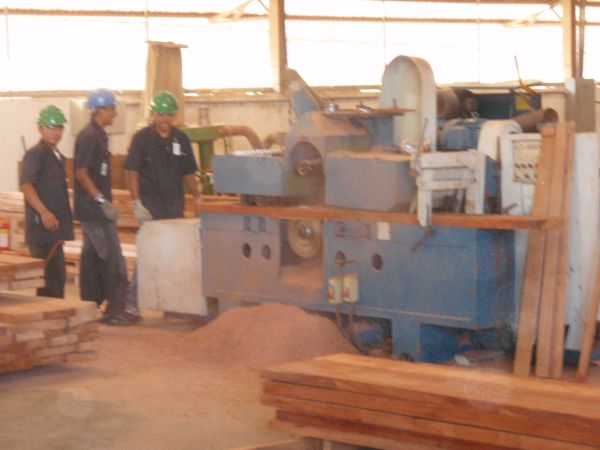 Milling Ipe Logs - ipe-planer-a