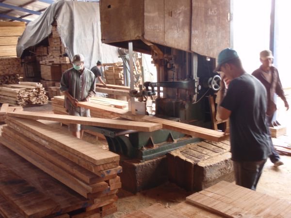 Milling Ipe Logs - ipe-saw-3a