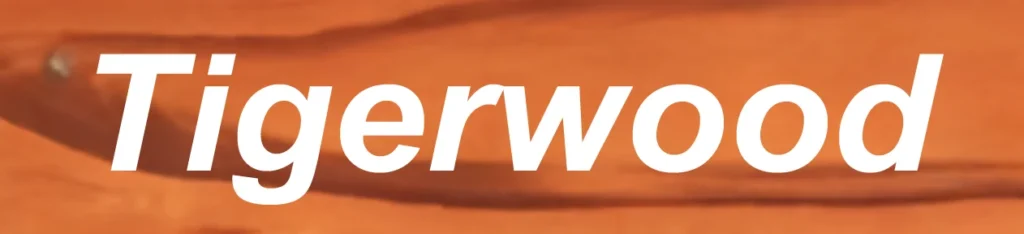 Transform Your Alabama Home with Advanced Building Supplies - twd-1024x234